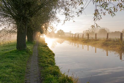 zwalmbeek in de ochtend