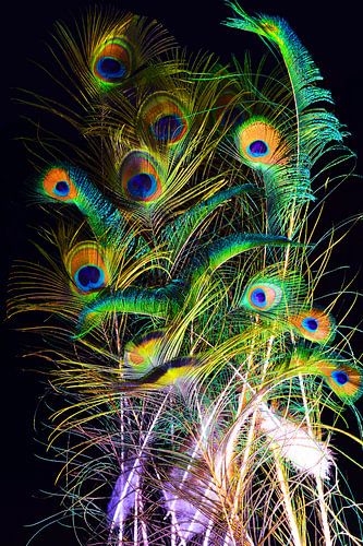 Pfauenfeder-Ensemble 3 von Feathers in Black