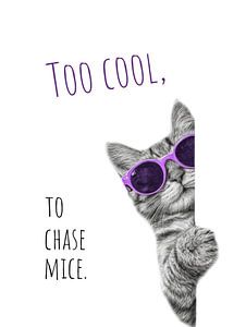 Too cool cat