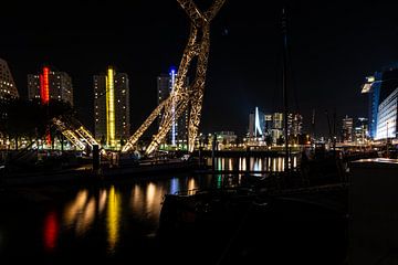 Erasmusbrug Rotterdam vanaf de haven gezien. van Brian Morgan