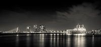 Rotterdam by night panorama van Studio Wanderlove thumbnail