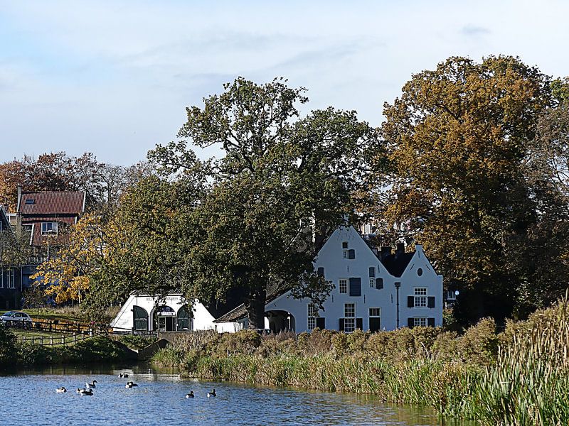 Witte Watermolen in Park Sonsbeek van Petra Dielman