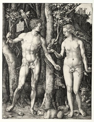 Adam und Eva, Albrecht Dürer