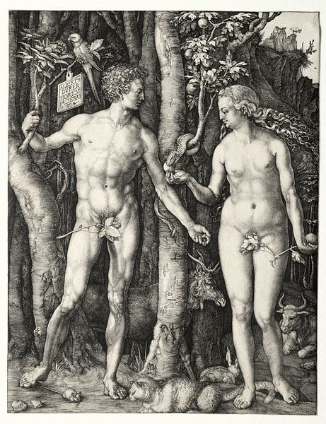 Adam and Eve, Albrecht Dürer by De Canon