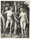 Adam und Eva, Albrecht Dürer von De Canon Miniaturansicht