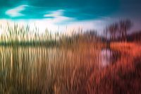 paysage coloré