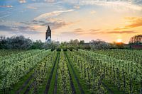 De Betuwe op haar mooist