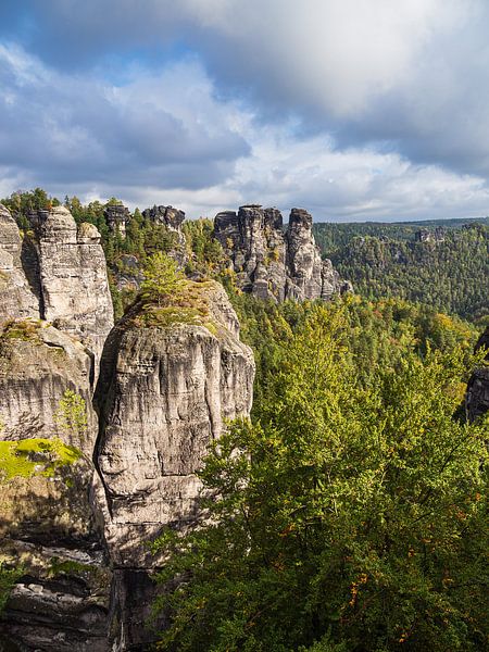 Uitzicht op rotsen en bomen in Saksisch Zwitserland van Rico Ködder