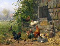 Kippenhok, Carl Jutz