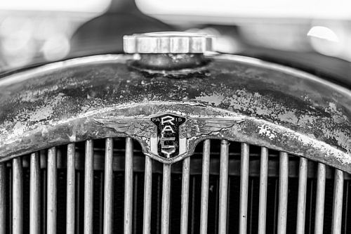Paris Rally radiator ornament