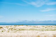 Kust van Vlieland. van Ron van der Stappen thumbnail
