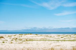 La côte de Vlieland. sur Ron van der Stappen