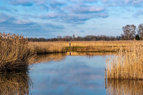 Lingezegen ouest aquatique