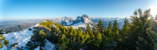 Panorama op de Breitenberg over de Ostallgäu, Pfronten en de Tannheimer bergen