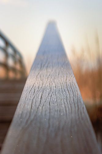 Givre le long des nervures du bois