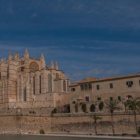 Cathedraal Palma de Mallorca van Maaikel de Haas