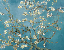 Branches de fleurs d'amandier sur Adalberto Sorrentino