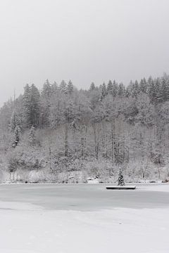 Der Weihnachtsbaum im See von Christina Bauer Photos