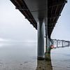 Unter der Seebrücke am Timmendorfer Strand von Thomas Riess