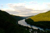 Verdwijnende Mosel