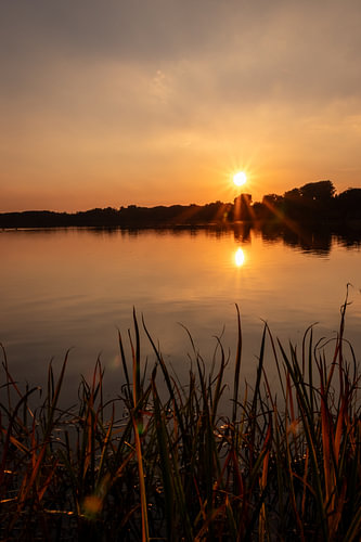Romantische zonsondergang aan een idyllisch meer met zonneschijn en een oever begroeid met riet