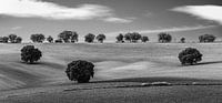 Composition hill
