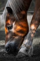 Filtered Light