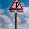 Warnschild „Dead Slow“ für Eichhörnchen von Patricia Hofmeester