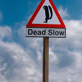 Waarschuwingsbord met beeltenis van eekhoorn en tekst:' Extreem langzaam rijden' van Patricia Hofmeester