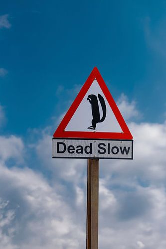 Waarschuwingsbord met beeltenis van eekhoorn en tekst:' Extreem langzaam rijden'