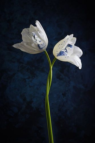 Tulipes dansantes Bleu de Delft sur Clazien Boot