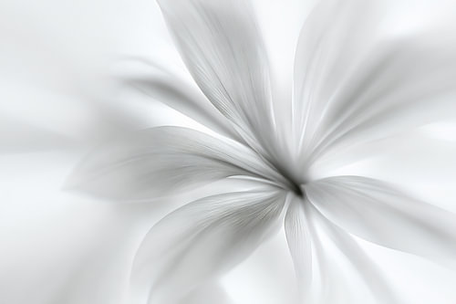 Bloemenpoëzie in het wit