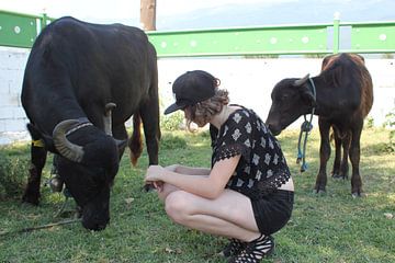 Vrouw praat met waterbuffel koe en kalf - Meer van Kerkini