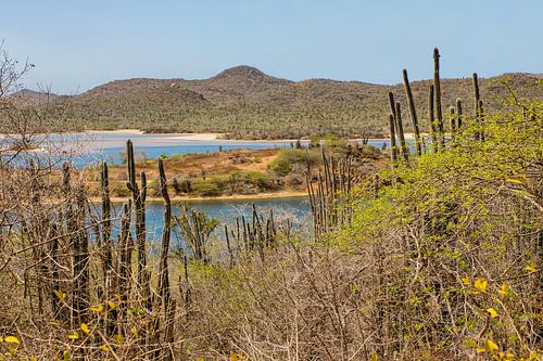 Landscape National Park Slagbaai with mountains on island Bonaire