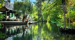 Idyllischer Spreewald