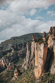 France by Lucas de Witt