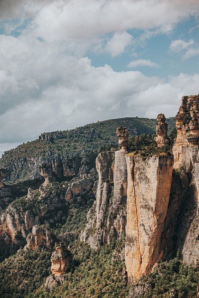 France par Lucas de Witt