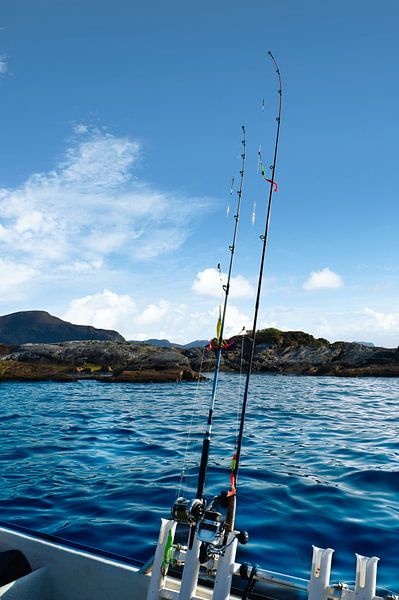 Fishing rod in front of the West Cape in the Norwegian fjord landscape. Scandinavia by Martin Köbsch