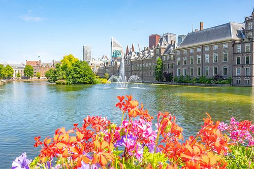 De Haagse Hofvijver met de regeringsgebouwen op het Binnenhof
