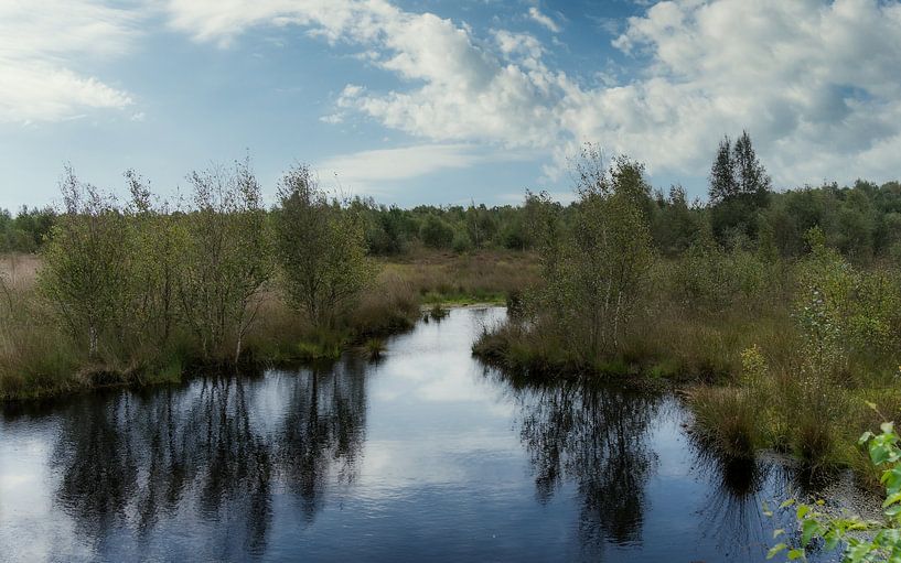 Sur la lande des esprits par Mart Houtman