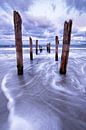 Holzstangen am Ostseestrand von Ralf Lehmann Miniaturansicht