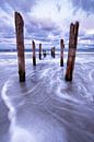 Holzstangen am Ostseestrand von Ralf Lehmann Miniaturansicht