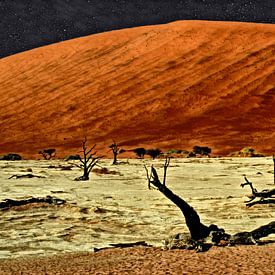 Namibia: Baumskelette im Deadvlei mit Sanddüne (Fotogemälde) von images4nature by Eckart Mayer Photography