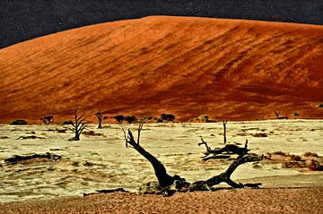 Namibië: Boomskeletten in Deadvlei met zandduin (foto schilderij) van images4nature by Eckart Mayer Photography