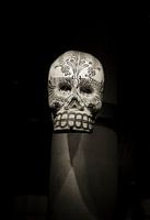 carved skull/deadhead in sepia
