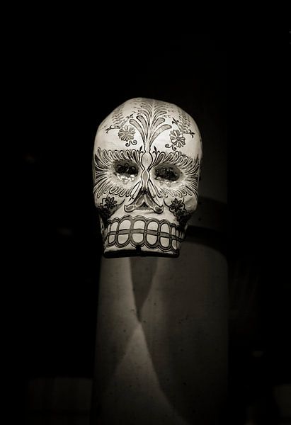 geschnitzter Schädel/Totenkopf in Sepia von Rob van Keulen