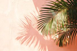 Shadow of a palm leaf design by Poster Art Shop