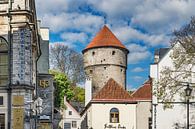 Tallinn Estland  von Gunter Kirsch Miniaturansicht