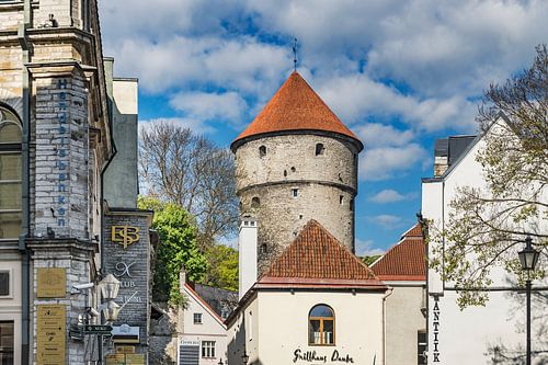 Tallinn Estland 