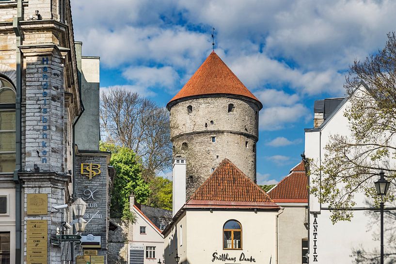Tallinn Estland  von Gunter Kirsch